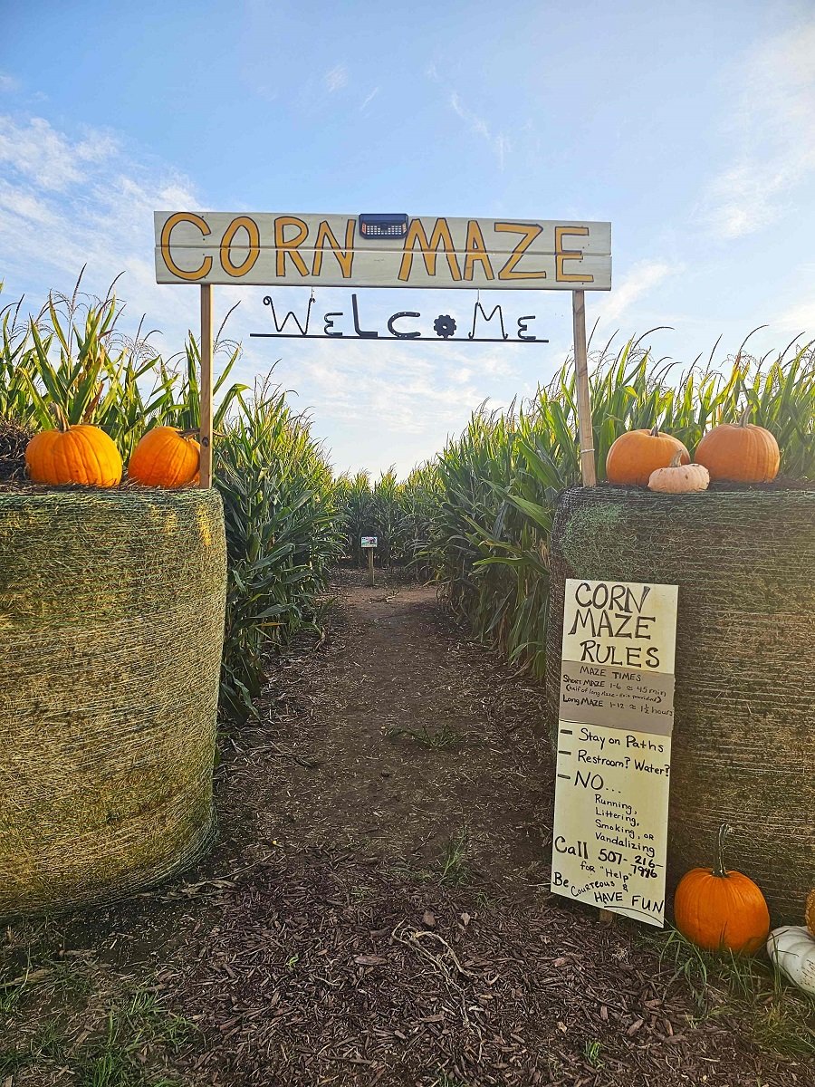 Big Springs Corn Maze