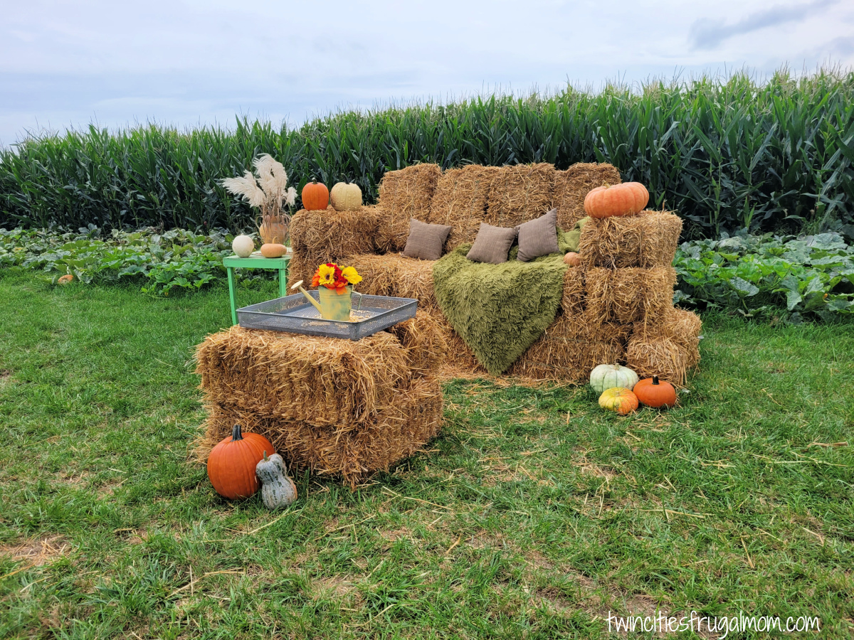Big Springs Couch