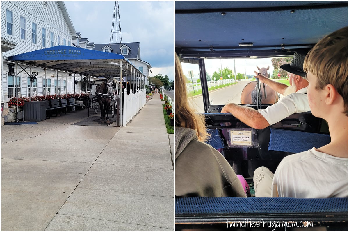 Blue Gate Horse Buggy