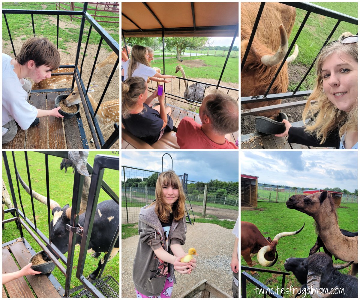 Dutch Animal Farm