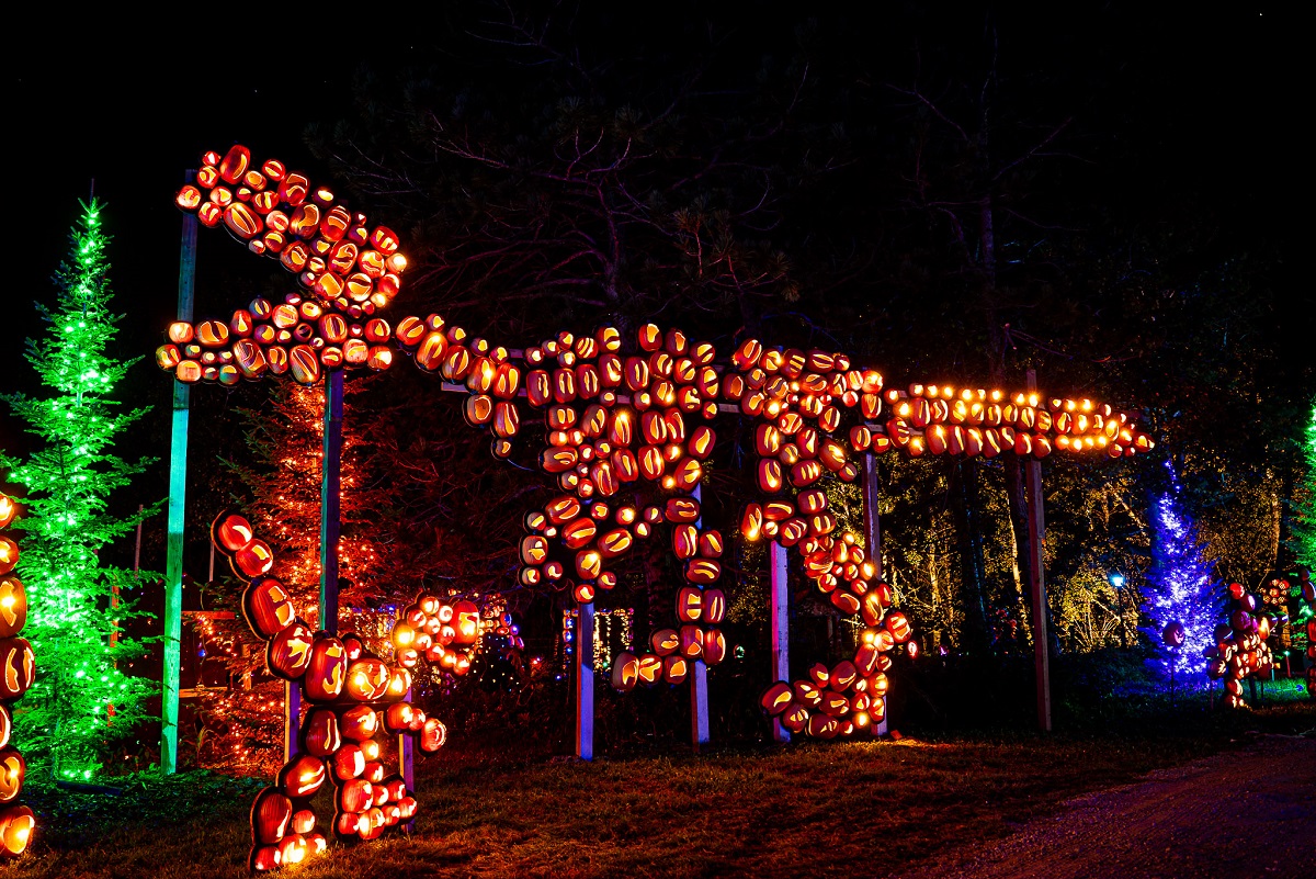 The Great Pumpkin Dinosaur