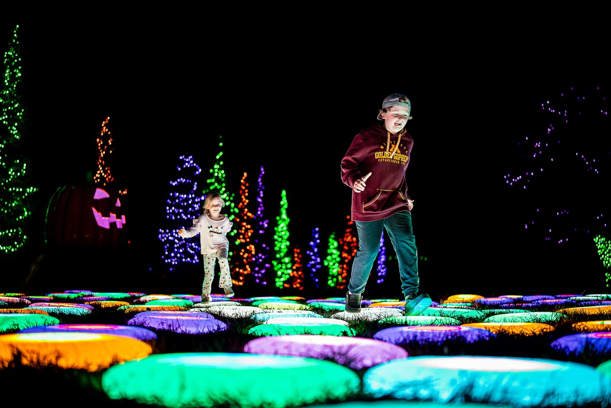 The Great Pumpkin Trail ground