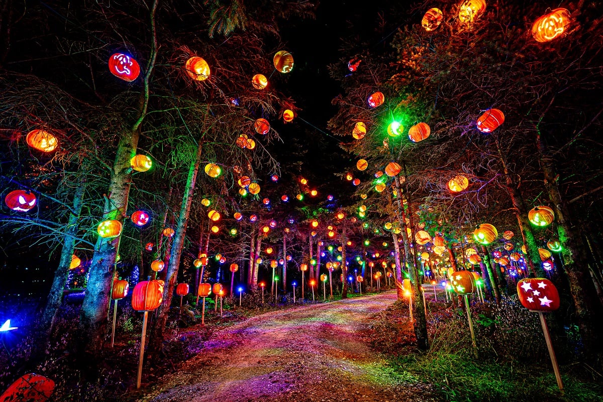 The Great Pumpkin Trail path