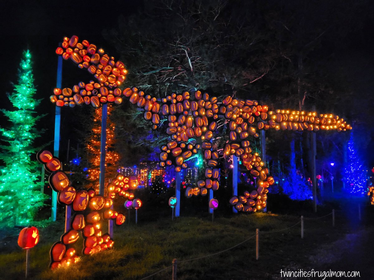 Great Pumpkin Trail Dinosaurs