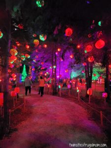 Great Pumpkin Trail Lighted Path