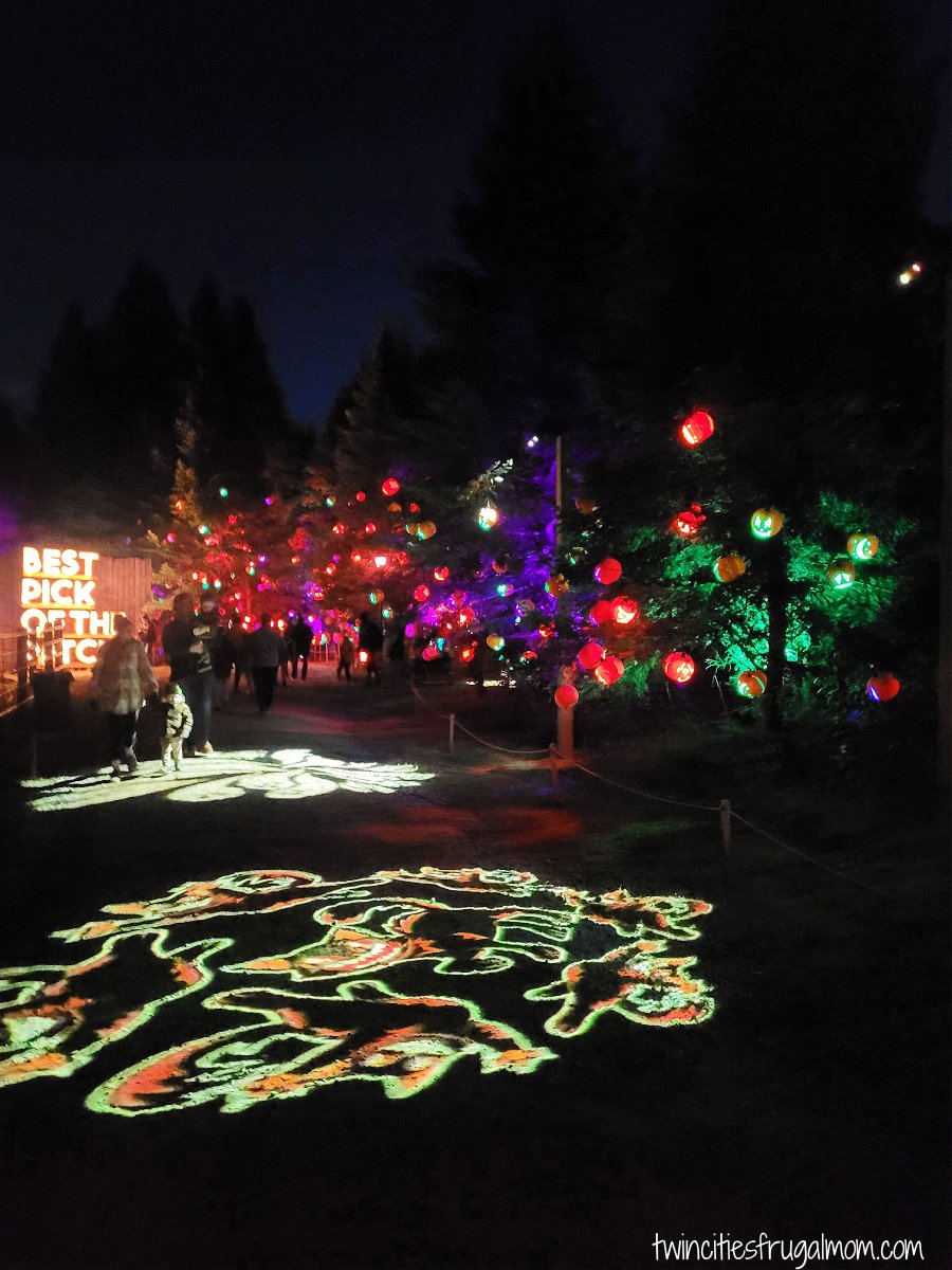 Great Pumpkin Trail lights
