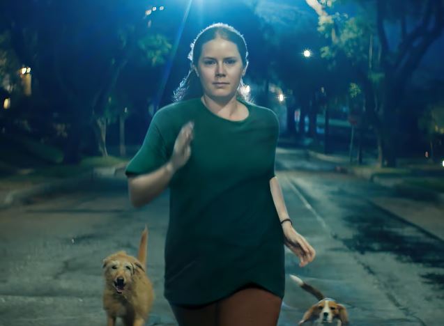 Amy Adams Nightbitch