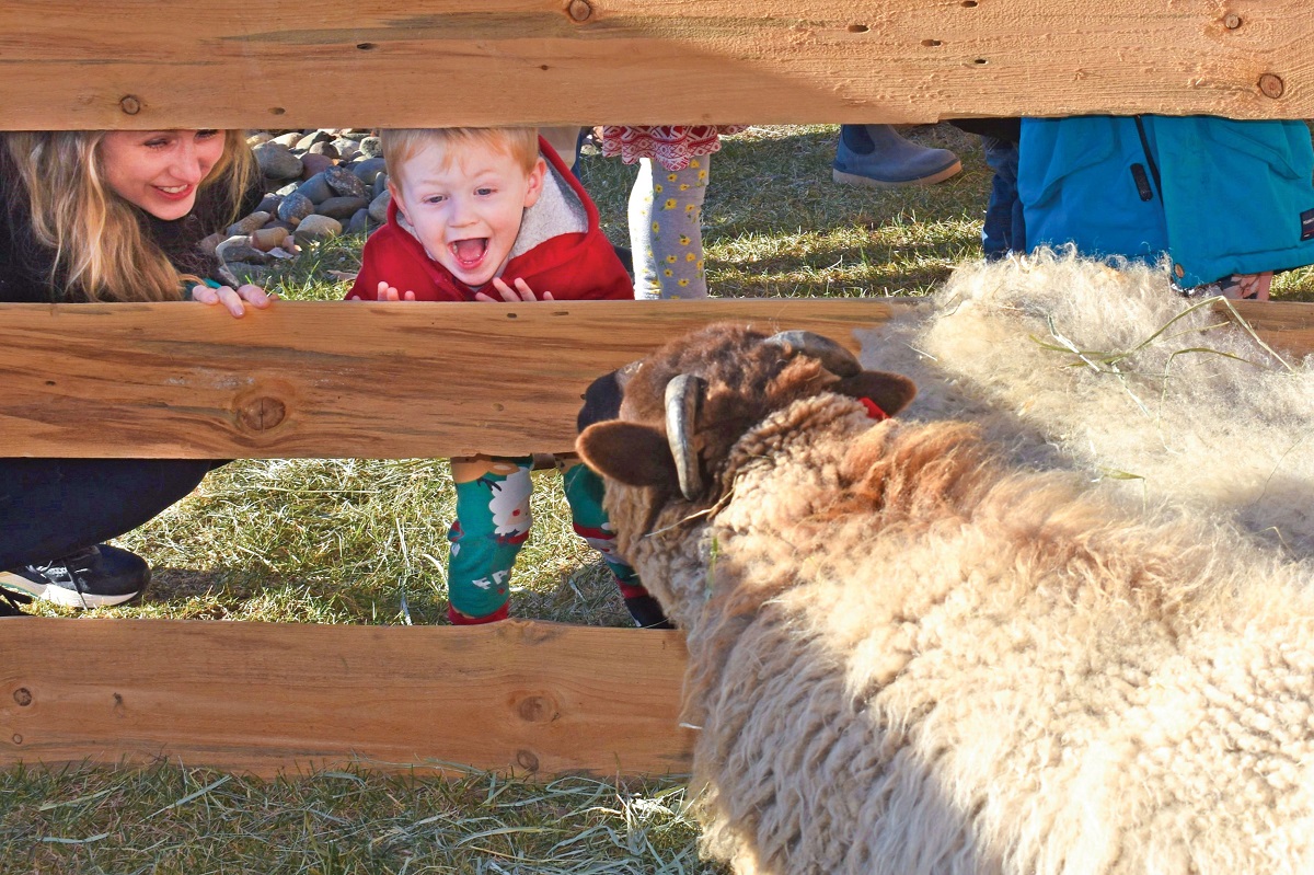 Crossview Nativity Fest Edina