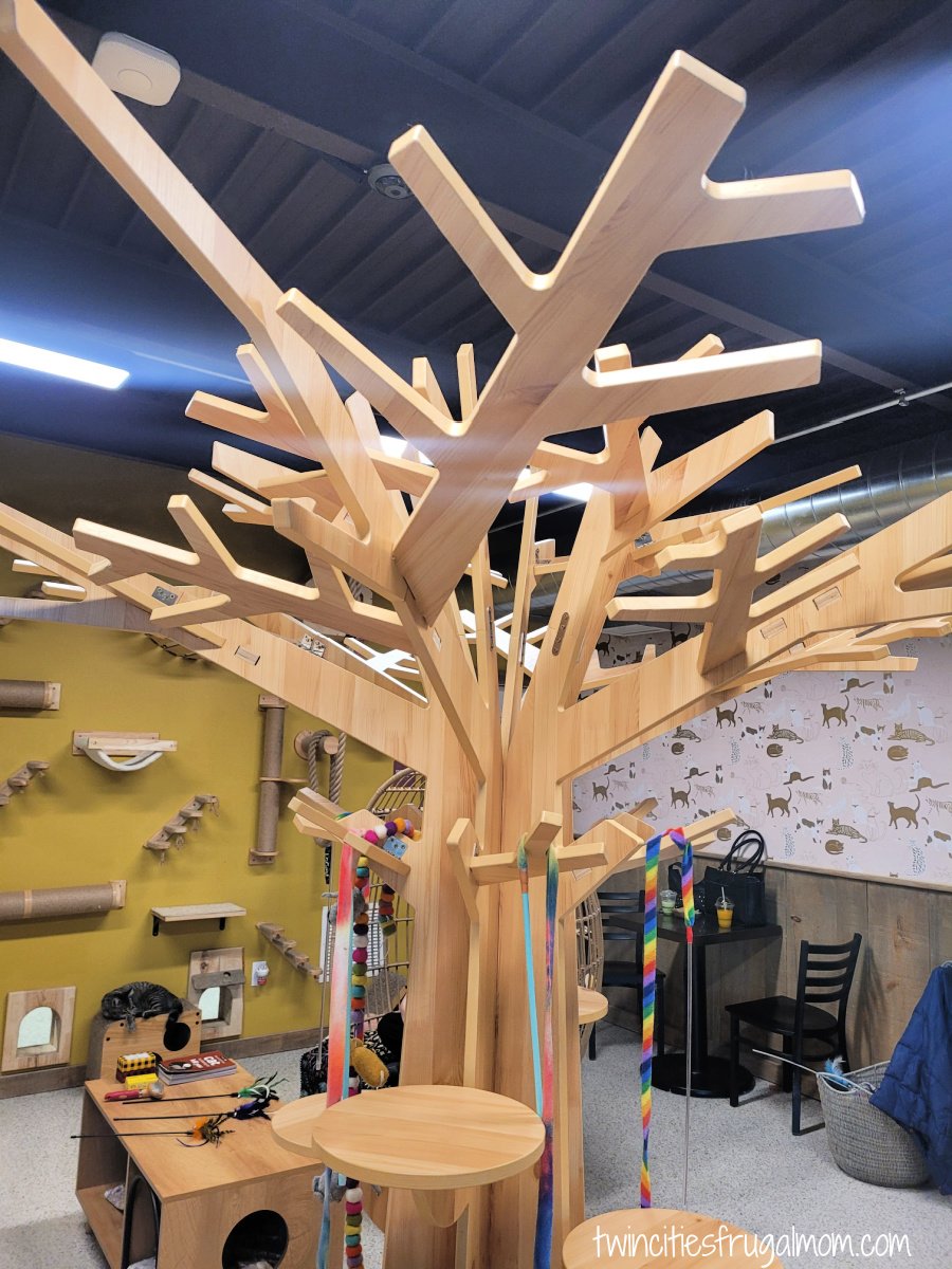 Wired Whisker Cat Play Room