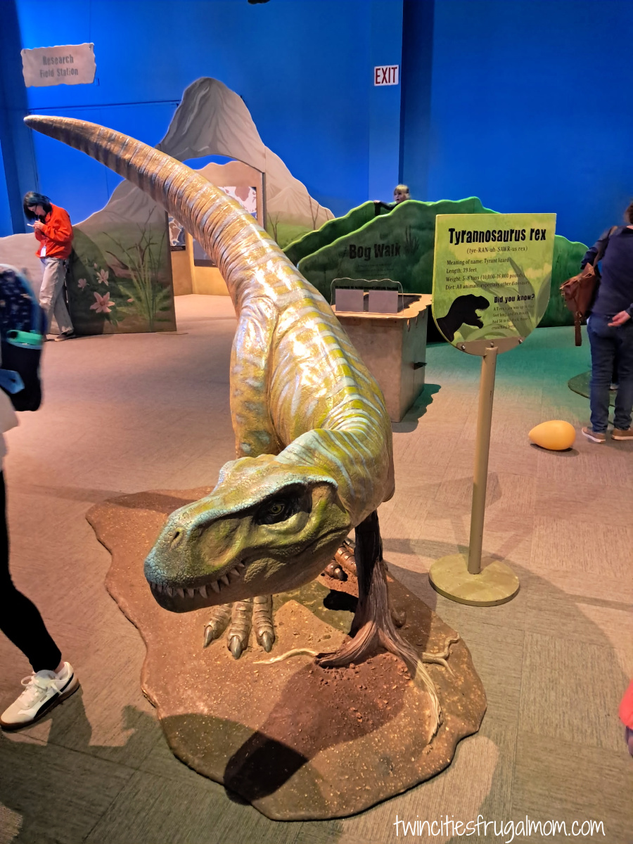 Dinosaur MCM T Rex