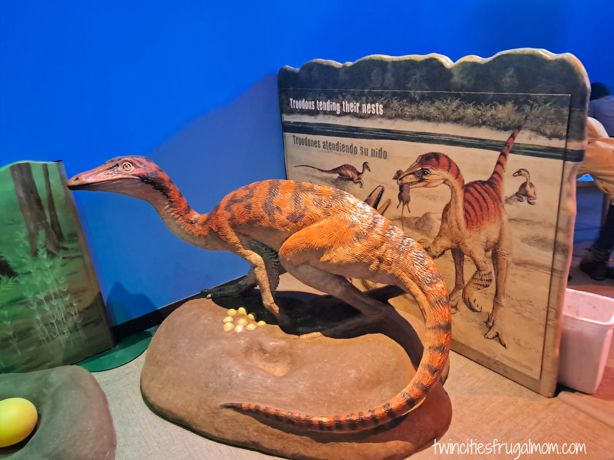 Dinosaur Small MCM