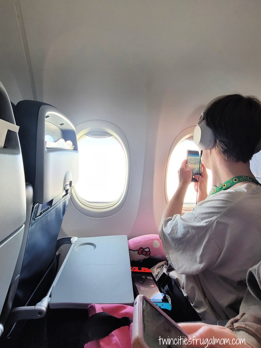 Flight headphones