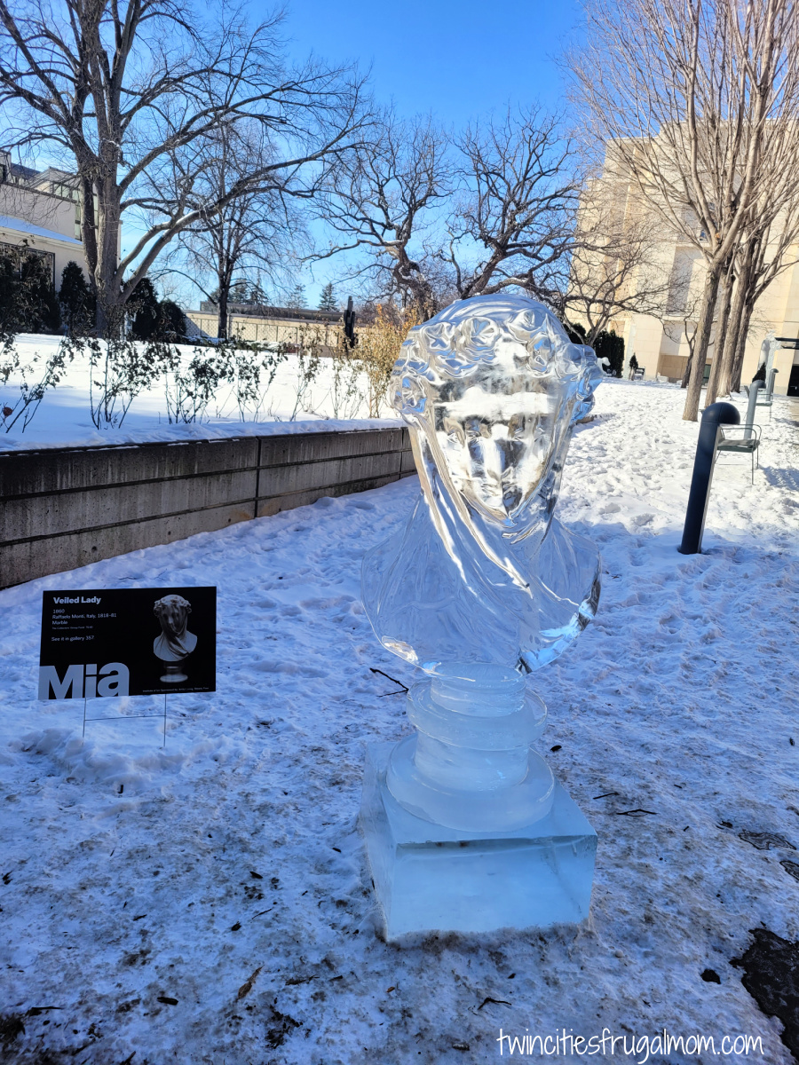 Mpls Institute of Art ice veiled lady
