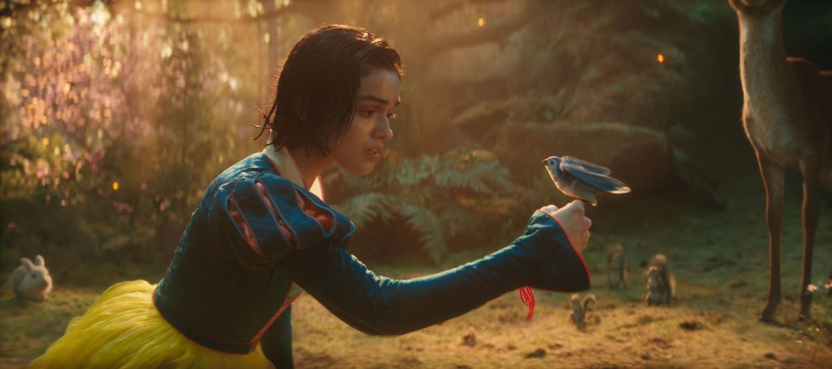Snow White bird