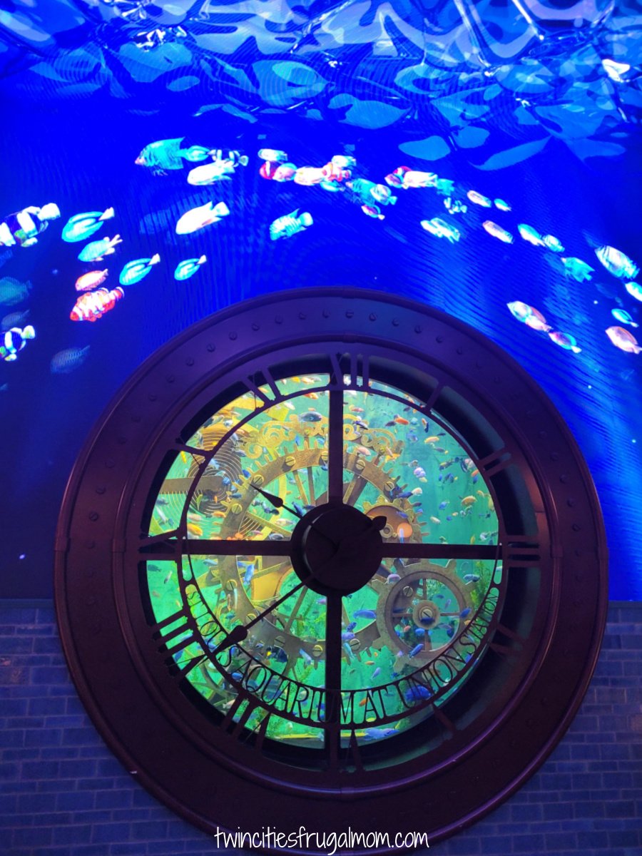 St Louis Aquarium Entrance