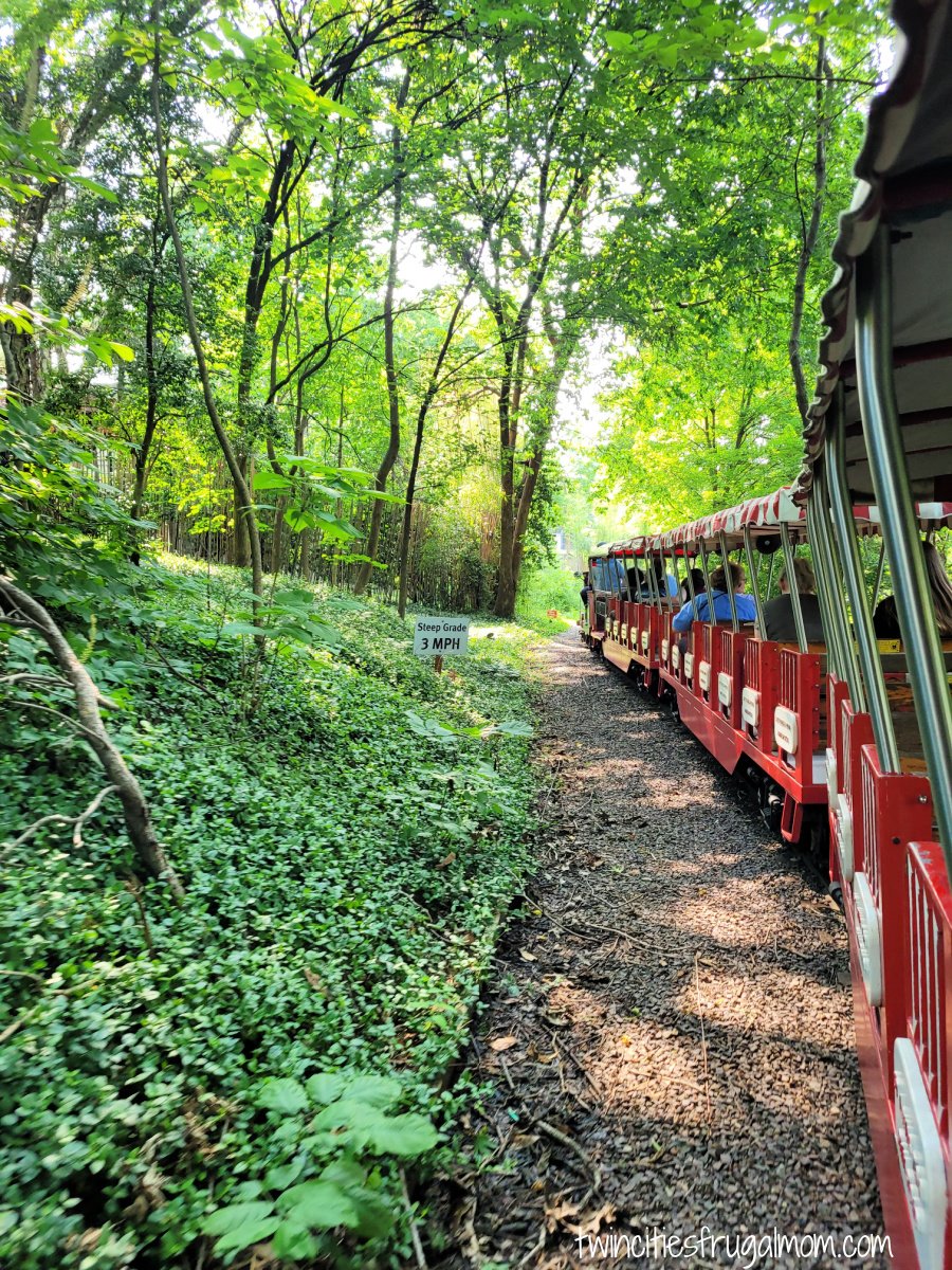 St Louis Zoo train