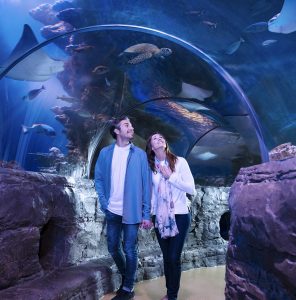 SEA LIFE Tunnel