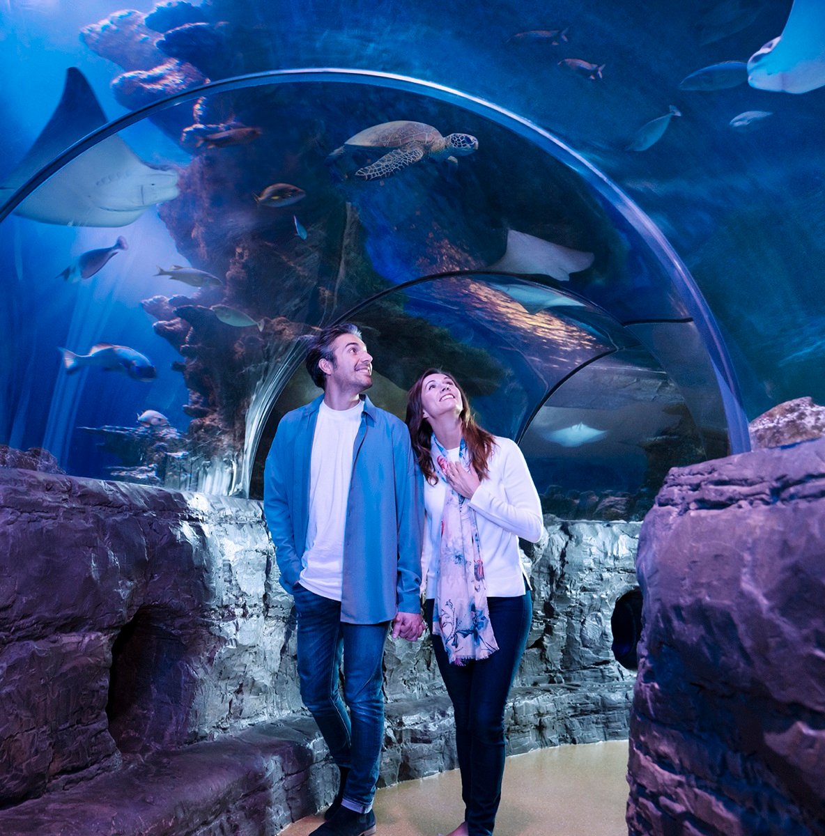 SEA LIFE Tunnel