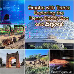Omaha with Teens Cover