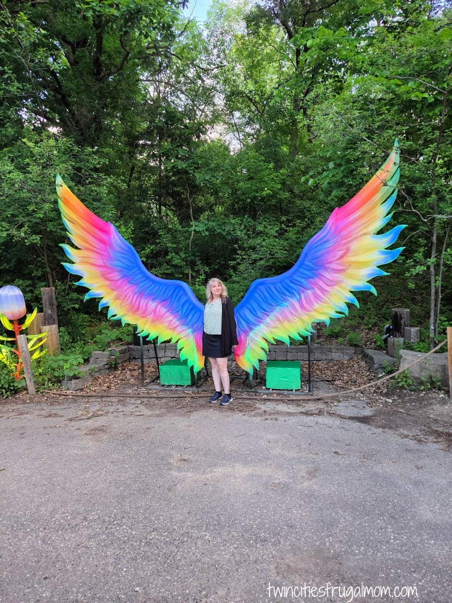 mn zoo flying wings
