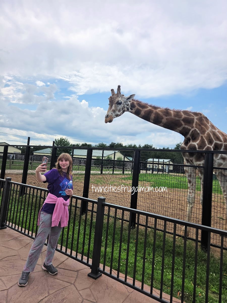 Safari North giraffe selfie