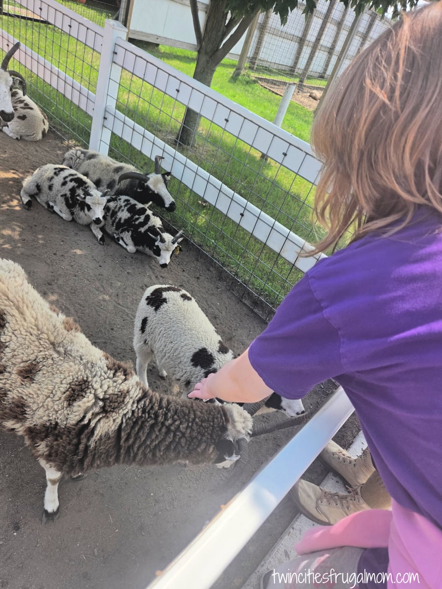 Safari North petting zoo