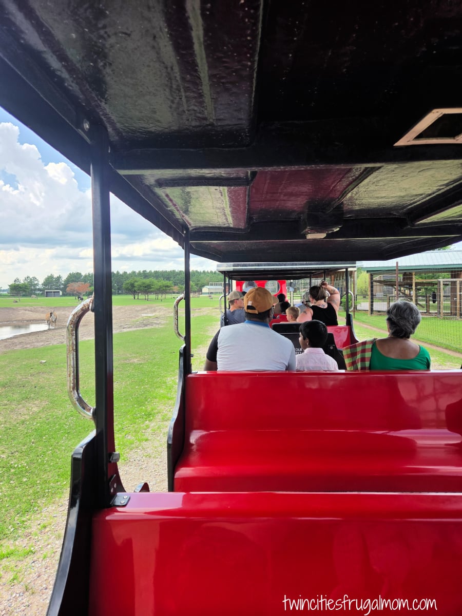 Safari North train
