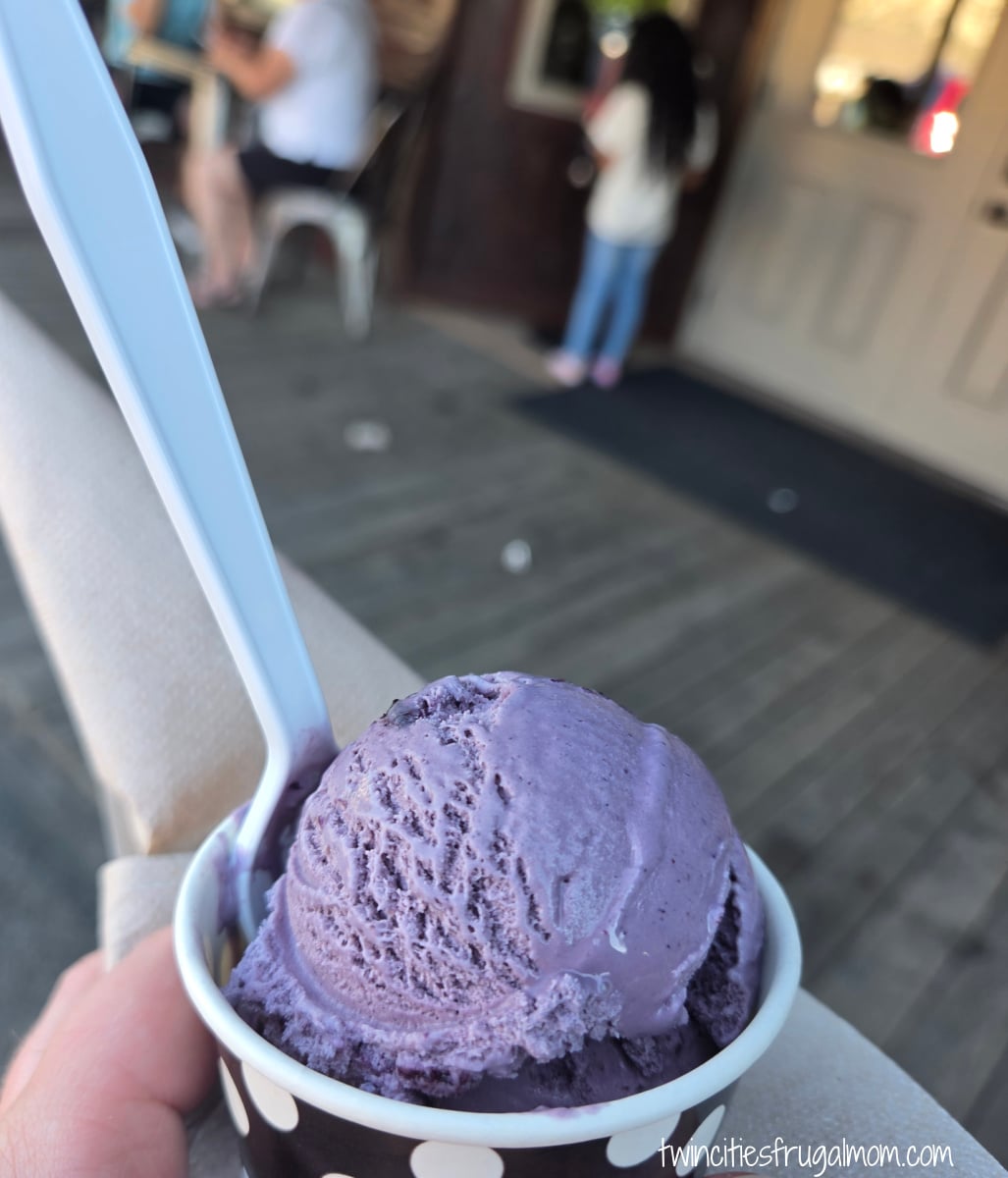 Medora Huckleberry ice cream