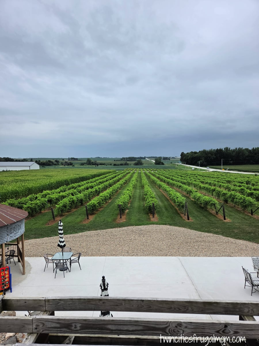 Rustic River Winery vineyards