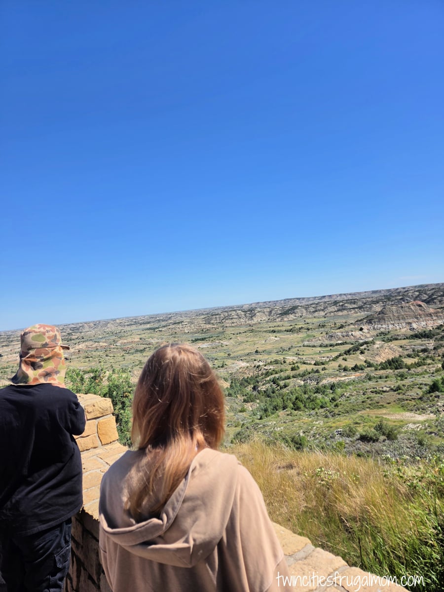 Theodore Roosevelt view