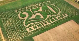 Twin Cities Maze 250