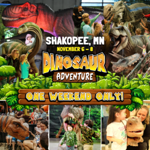 Dinosaur Adventure Square